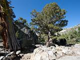 Lake Tahoe 02 : Vermont Canoe Spring